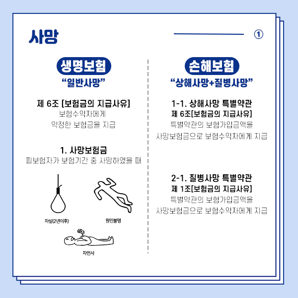 생명보험 손해보험 비교2