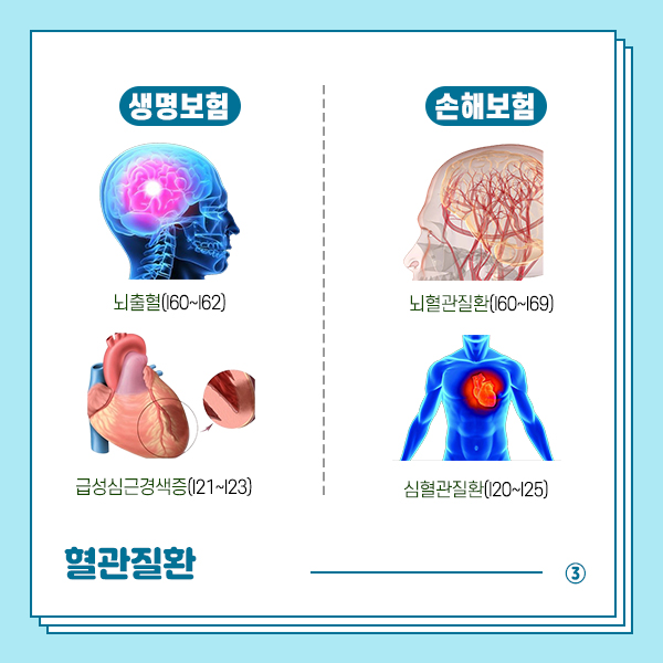 생명보험 손해보험 비교4