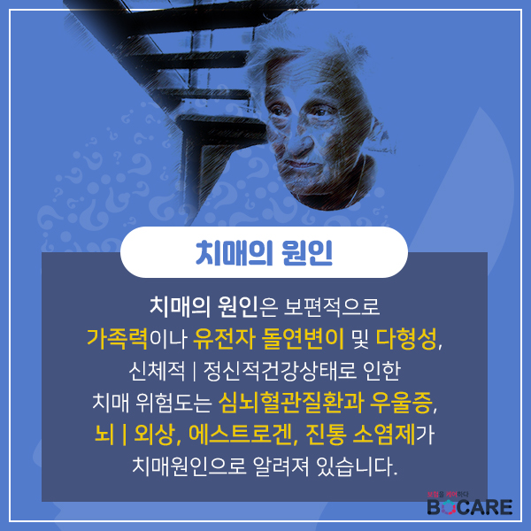 치매보험2