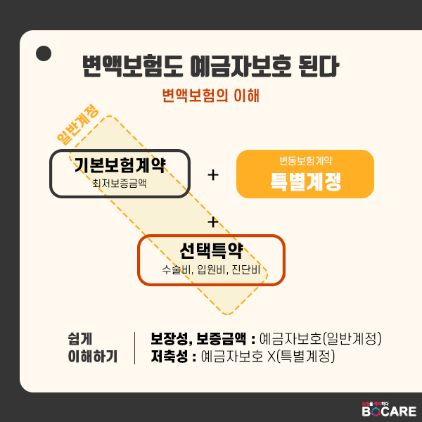 변액보험은 안전한가4